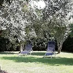 Al Numero61 Apartman Viverone
