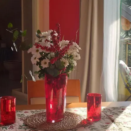 Al Numero61 Вивероне