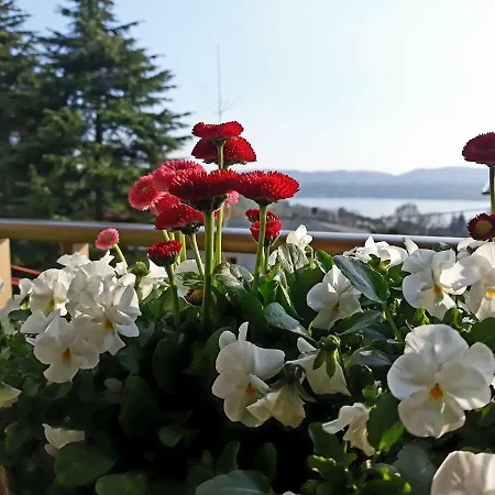 Al Numero61 Апартаменты *