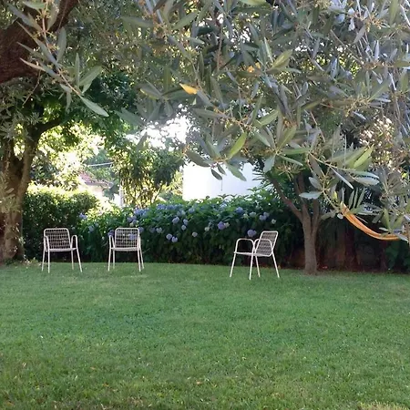 Al Numero61 Апартаменты *