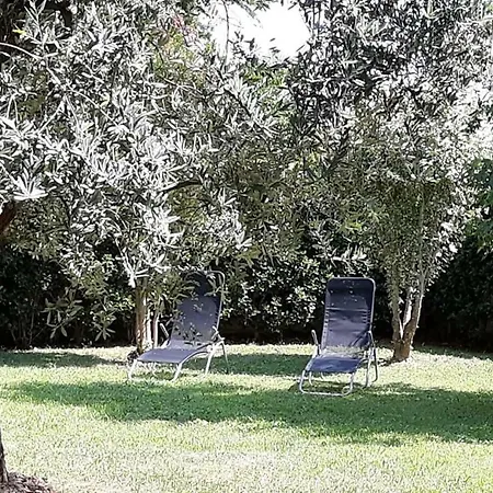 Al Numero61 Апартаменты Вивероне