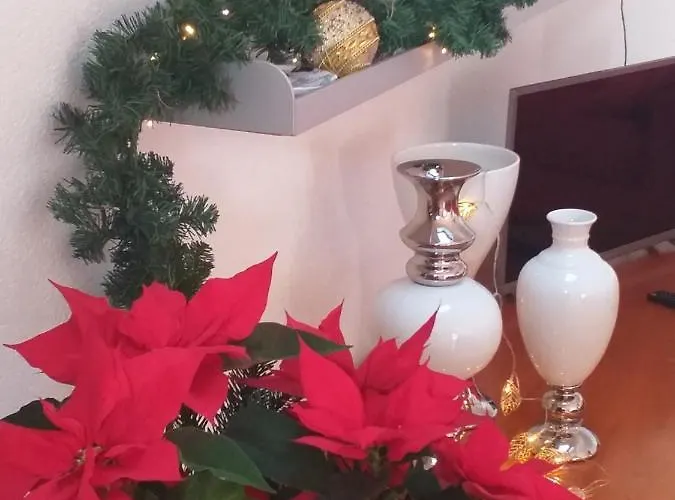 Al Numero61 Daire Viverone